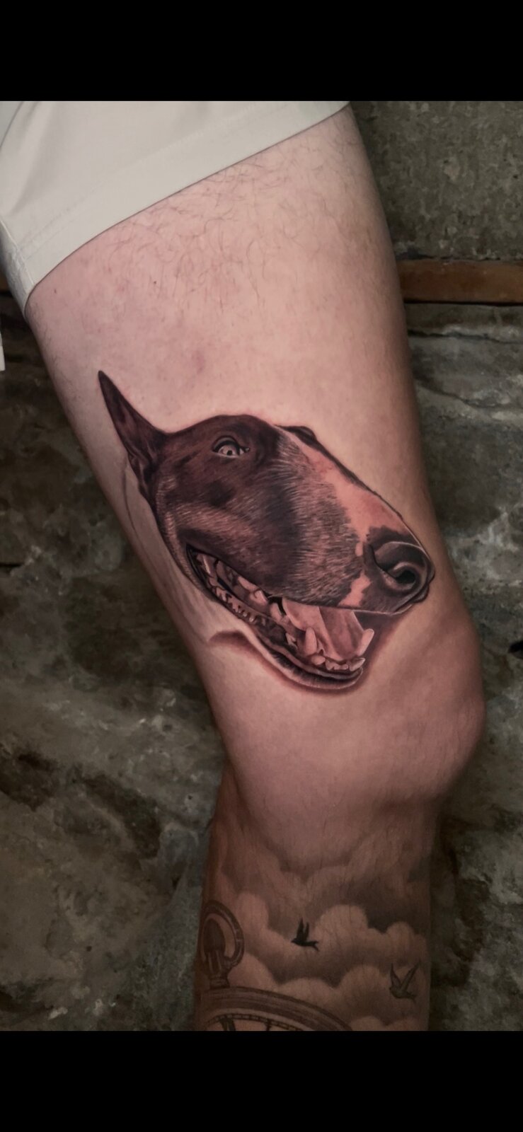 Black and grey realism tattoo of a smiling bull terrier on a thigh