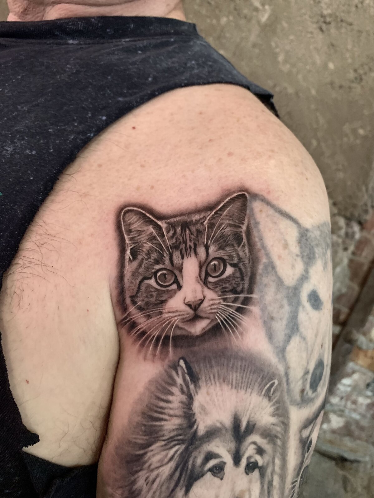 Black and grey cat and husky pet portrait tattoos on a shoulder